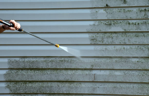 Best Mold Removal and Inspection  in Lake Waynoka, OH